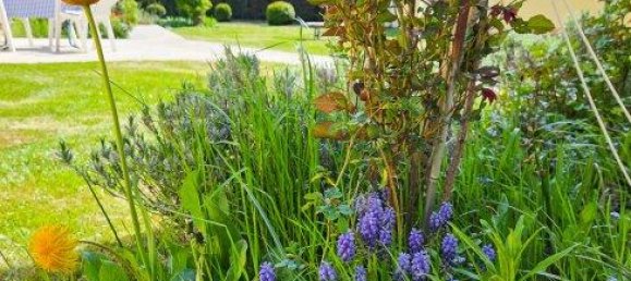 8-salle Maison de ville à Gmund, Austria No. 181146 9