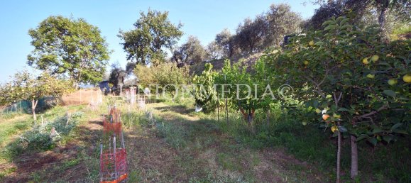 5 rooms House in Fosdinovo, Italy No. 118009 37