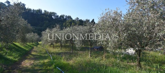 5 rooms House in Fosdinovo, Italy No. 118009 31