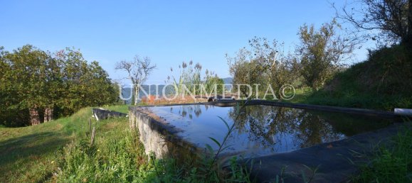 5 rooms House in Fosdinovo, Italy No. 118009 32