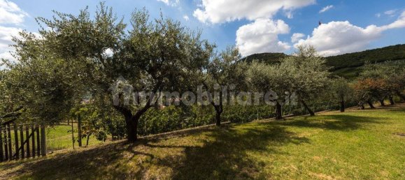 3 bedrooms Villa in Cinto Euganeo, Italy No. 341654 26