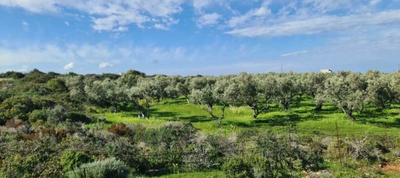  فندق في Chania, Greece 24000متر مربع رقم 3004 4
