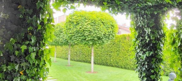 3 bedrooms Townhouse in Linz, Austria No. 223701 6