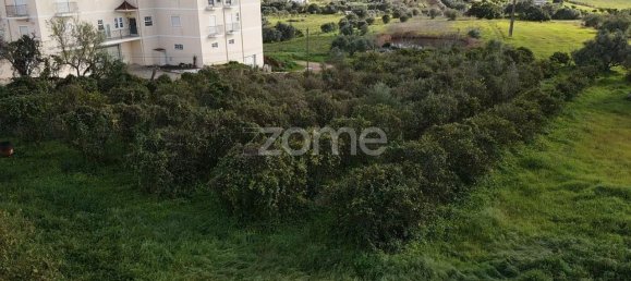 3489m² Land in Sao Bartolomeu de Messines, Portugal No. 79304 8