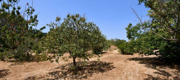 3 bedrooms Villa in Martina Franca, Italy No. 342298 13