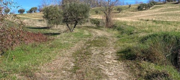 4 rooms House in Ripe San Ginesio, Italy No. 113703 4