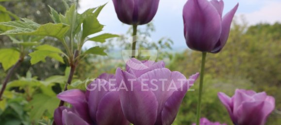 3 bedrooms House in Paciano, Italy No. 154336 11