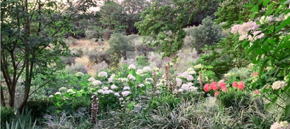 3 bedrooms House in Paciano, Italy No. 154336 13