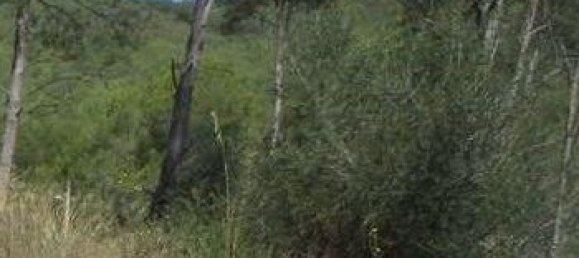 917m² Land in Olivella, Spain No. 163637 2