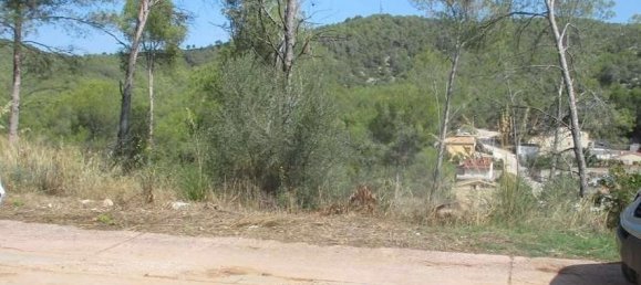 917m² Land in Olivella, Spain No. 163637 3