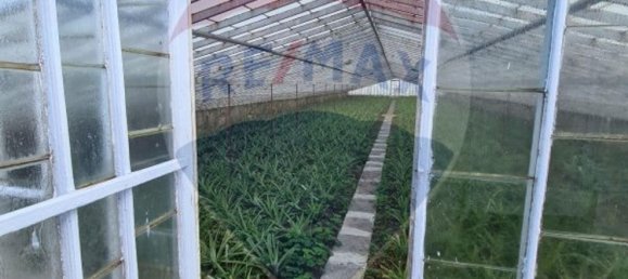 5 Schlafzimmer Haus in Ponta Delgada, Portugal, Nr. 158690 22