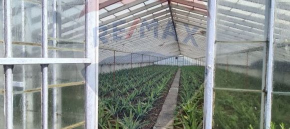 5 Schlafzimmer Haus in Ponta Delgada, Portugal, Nr. 158690 19