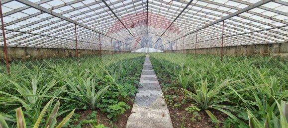 5 Schlafzimmer Haus in Ponta Delgada, Portugal, Nr. 158690 23