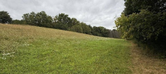 3 غرف نوم مزرعة في Hersfeld-Rotenburg, Germany رقم 348410 12