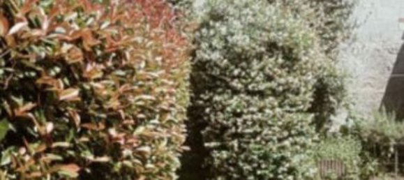 Квартира с 7 комнатами в Азильяно Верчеллезе, Италия № 51316 7