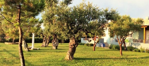 Property in Thasos, Greece 410m², Nr. 5376 22