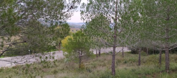 Земельный участок 461м² в Сан-Льоренк Д'Хортонс, Испания № 158913 5