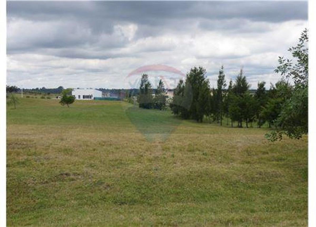 Terrain à Canelones, Uruguay No. 15713