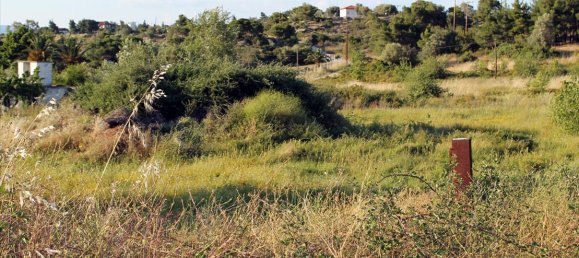 Hotel in Chalkidiki, Greece 3391m², Nr. 7797 4