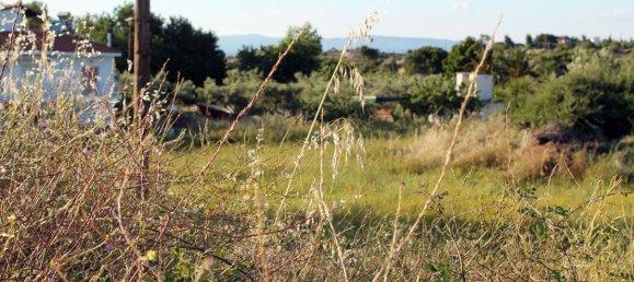 Hotel in Chalkidiki, Greece 3391m², Nr. 7797 3