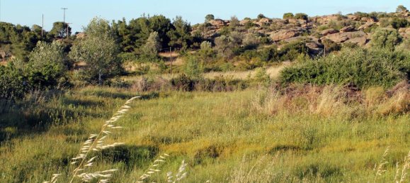 Hotel in Chalkidiki, Greece 3391m², Nr. 7797 6