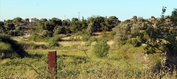 Hotel in Chalkidiki, Greece 3391m², Nr. 7797 2