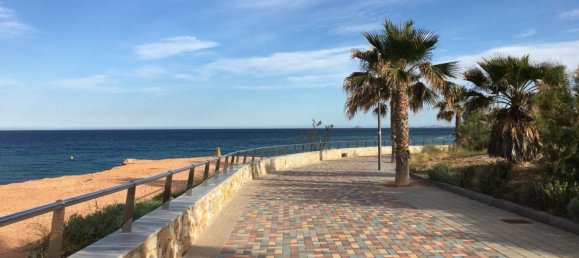 3 bedrooms House in Torre de la Horadada, Spain No. 9428 3