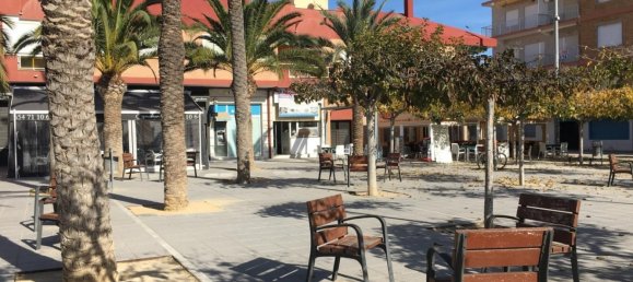 3 bedrooms House in Torre de la Horadada, Spain No. 9428 2