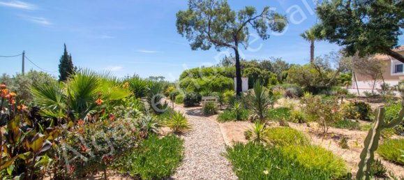3 bedrooms Villa in Porches, Portugal No. 114319 31