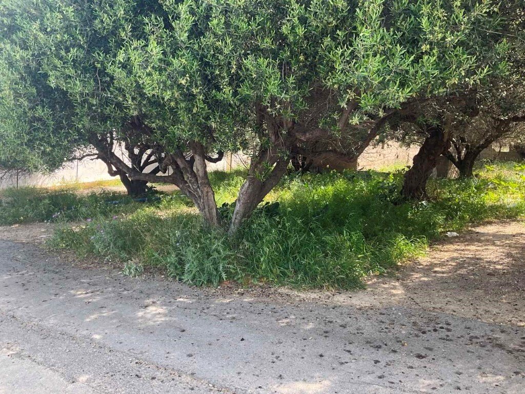 Hotel in Heraklion, Greece 862m², Nr. 3650