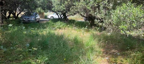 Hotel in Heraklion, Greece 862m², Nr. 3650 2