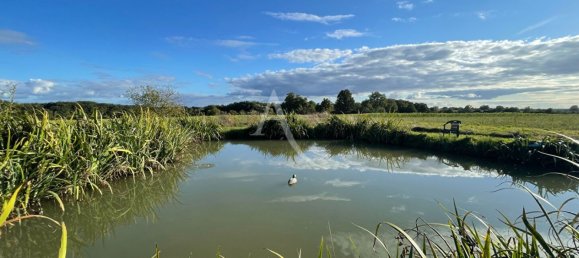Casa de 3 dormitorios en Nouans-les-Fontaines, France No. 239344 7