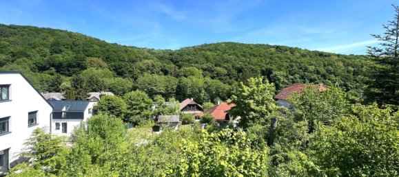  Land in Mauerbach, Austria No. 132912 9