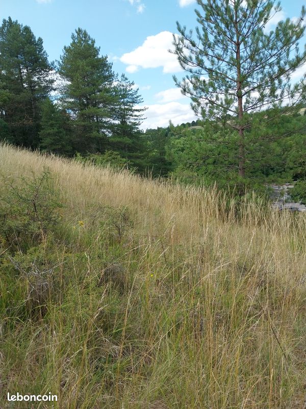  Land in Salles-la-Source, France No. 284823