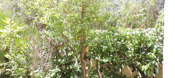 2-Zimmer Haus in Castellaneta, Italy, Nr. 19742 30