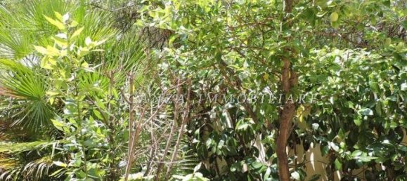 2-Zimmer Haus in Castellaneta, Italy, Nr. 19742 29