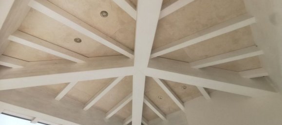 17 rooms Villa in Forte dei Marmi, Italy No. 76912 13