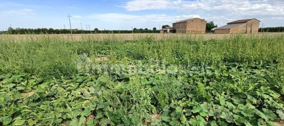  قطعة أرض في Lugo, Italy 56000متر مربع رقم 288963 3