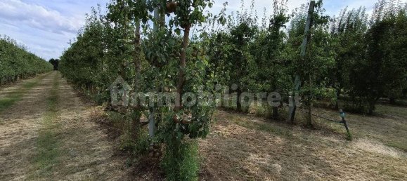  قطعة أرض في Lugo, Italy 56000متر مربع رقم 288963 17