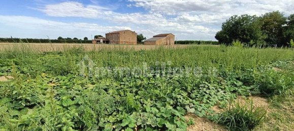  قطعة أرض في Lugo, Italy 56000متر مربع رقم 288963 4