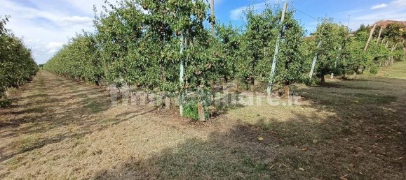  قطعة أرض في Lugo, Italy 56000متر مربع رقم 288963 20