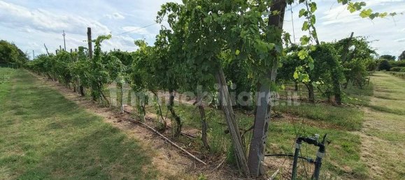  قطعة أرض في Lugo, Italy 56000متر مربع رقم 288963 10