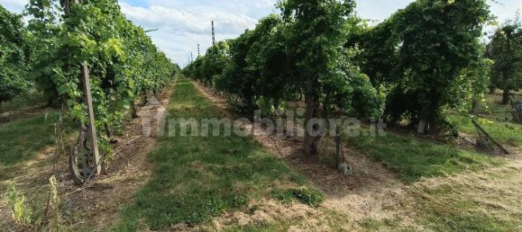  قطعة أرض في Lugo, Italy 56000متر مربع رقم 288963 14