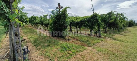  قطعة أرض في Lugo, Italy 56000متر مربع رقم 288963 9