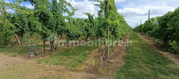  قطعة أرض في Lugo, Italy 56000متر مربع رقم 288963 13