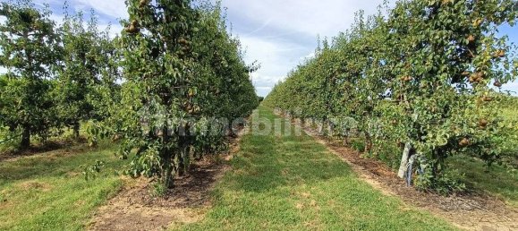  قطعة أرض في Lugo, Italy 56000متر مربع رقم 288963 12