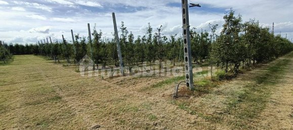  قطعة أرض في Lugo, Italy 56000متر مربع رقم 288963 7