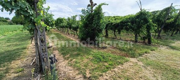  قطعة أرض في Lugo, Italy 56000متر مربع رقم 288963 8