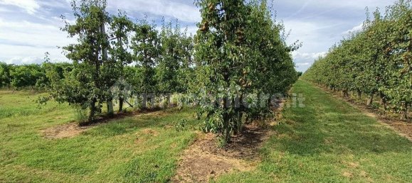  قطعة أرض في Lugo, Italy 56000متر مربع رقم 288963 11