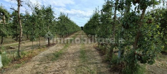  قطعة أرض في Lugo, Italy 56000متر مربع رقم 288963 16